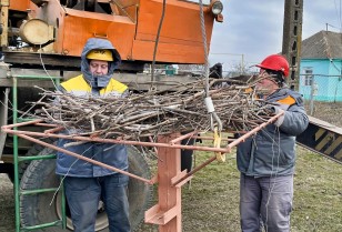 The birds are safe and so are the grids: DTEK Dnipro Grids specialists helped the storks upon request of local residents