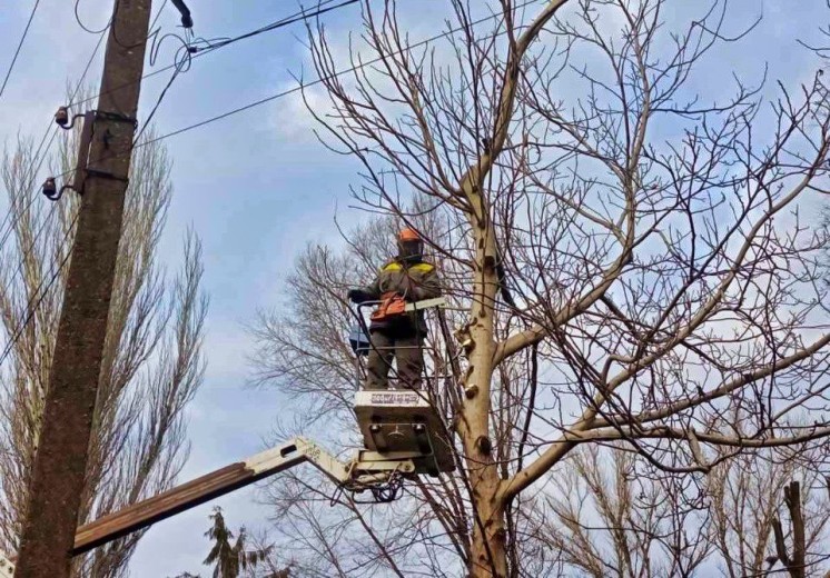 In order to prevent emergencies, DTEK Dnipro Grids will clear more than 3,000 kilometers of power lines from branches in 2024