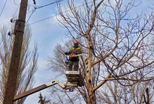 In order to prevent emergencies, DTEK Dnipro Grids will clear more than 3,000 kilometers of power lines from branches in 2024