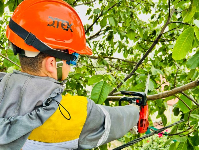 In order to prevent emergencies, DTEK Kyiv Regional Grids will clear more than 3,500 kilometers of power lines from branches in 2024