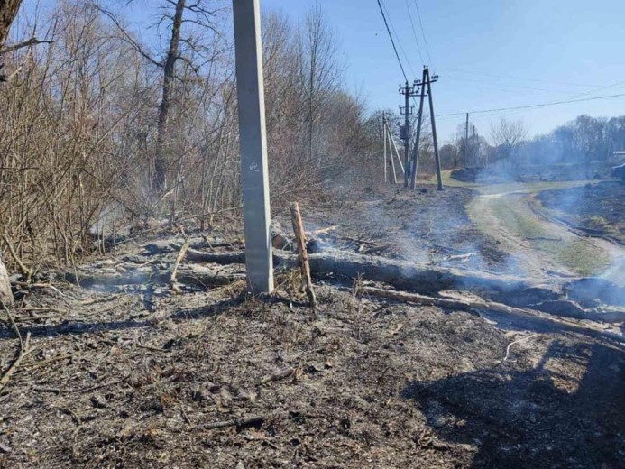 Why you cannot burn deadwood near power facilities, – DTEK Dnipro Grids explains