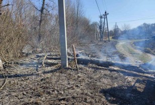 Why you cannot burn deadwood near power facilities, – DTEK Dnipro Grids explains