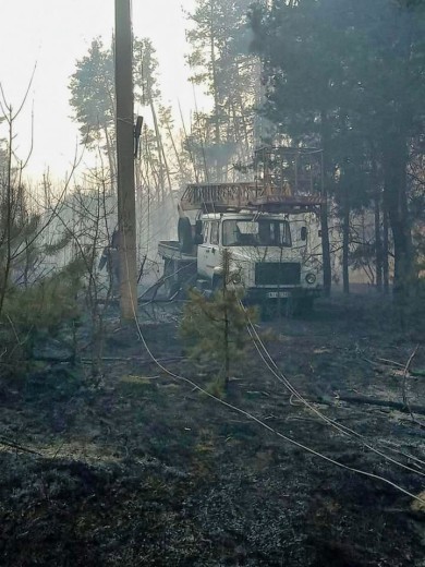 Why you cannot burn deadwood near power facilities, – DTEK Kyiv Regional Grids explains