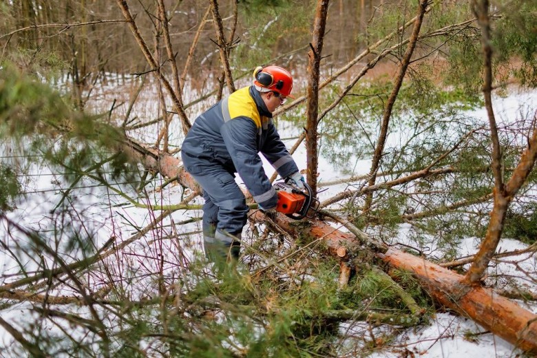 Over the winter, DTEK Donetsk Grids cleared almost 170 kilometers of power lines from branches in order to prevent emergencies