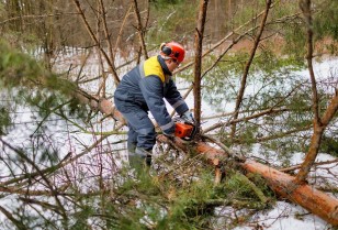 Over the winter, DTEK Donetsk Grids cleared almost 170 kilometers of power lines from branches in order to prevent emergencies