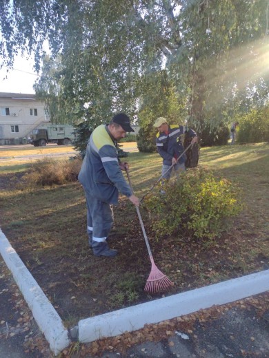 DTEK Kyiv Regional Grids energy workers joined the World Cleanup Day 2024