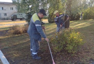 DTEK Kyiv Regional Grids energy workers joined the World Cleanup Day 2024