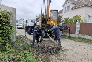 ДТЕК Київські електромережі встановив 15 безпечних платформ для гнізд лелеки