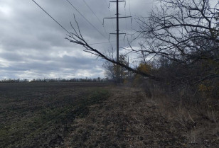 ДТЕК Донецькі електромережі відновив світло у 23 населених пунктах, знеструмлених через негоду