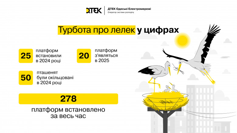 Energy workers of the DTEK Odesa Grids installed 25 safe stork nests in 2024