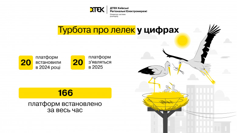 Energy workers of the DTEK Kyiv Regional Grids installed 20 safe nests for storks in 2024
