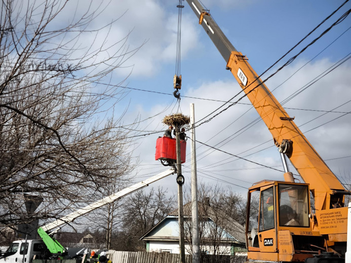 Energy workers of the DTEK Kyiv Grids installed this year’s first protective platform for stork nest in Bortnychi