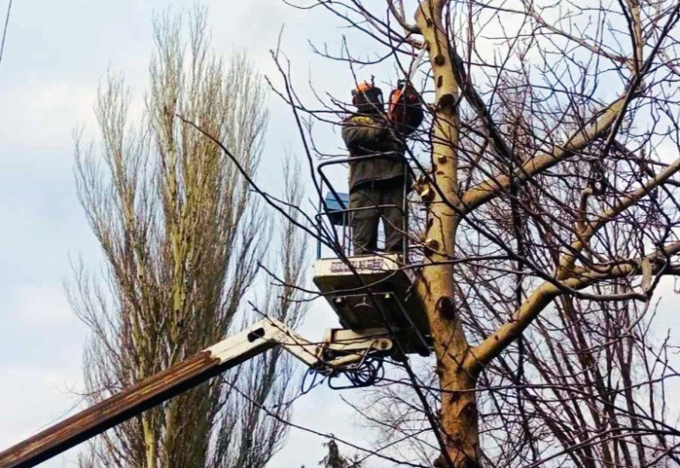 Three thousand kilometers of the overhead lines in the Dnipropetrovsk region will be protected from incidents during bad weather