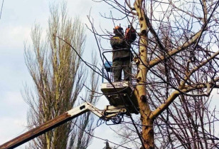 Three thousand kilometers of the overhead lines in the Dnipropetrovsk region will be protected from incidents during bad weather