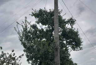 DTEK Donetsk Grids restored electricity to residents of 3 settlements yesterday