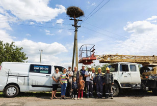 Міжнародна співпраця: на Дніпропетровщині енергетики ДТЕК допомогли орнітологам окільцювати 56 пташенят білого лелеки