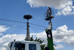 Енергетики ОСР ДТЕК Мережі допомогли орнітологам окільцювати 106 лелеченят