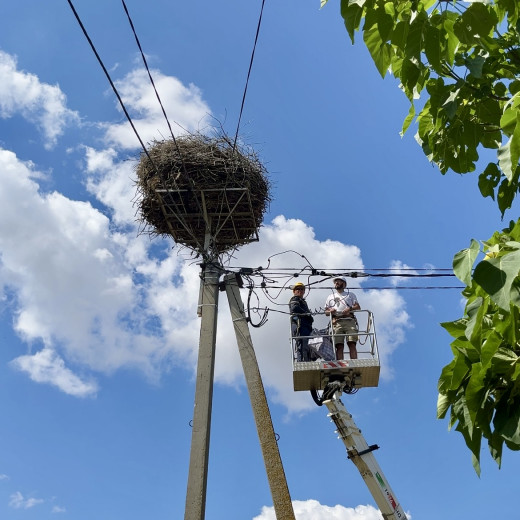 Eco initiatives of DTEK Odesa Grids – the company continues “green” transformation