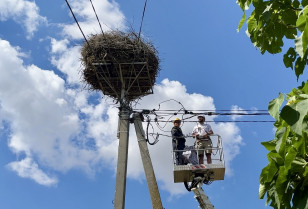 Eco initiatives of DTEK Odesa Grids – the company continues “green” transformation