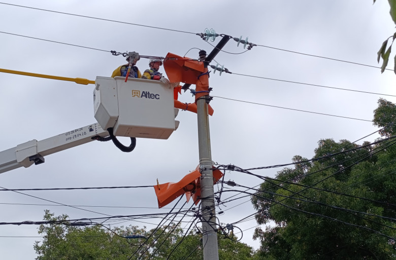Since the beginning of the year, DTEK Odesa Grids has conducted over 24,000 repairs in the distribution grids without disconnecting customers