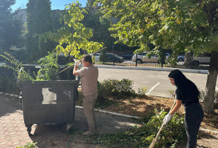 Енергетики ДТЕК Одеські електромережі зібрали 70 тонн відходів у Всесвітній день прибирання