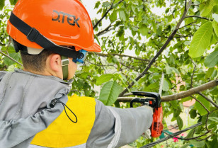 ДТЕК Київські регіональні електромережі: більше розчищених трас – менше аварій