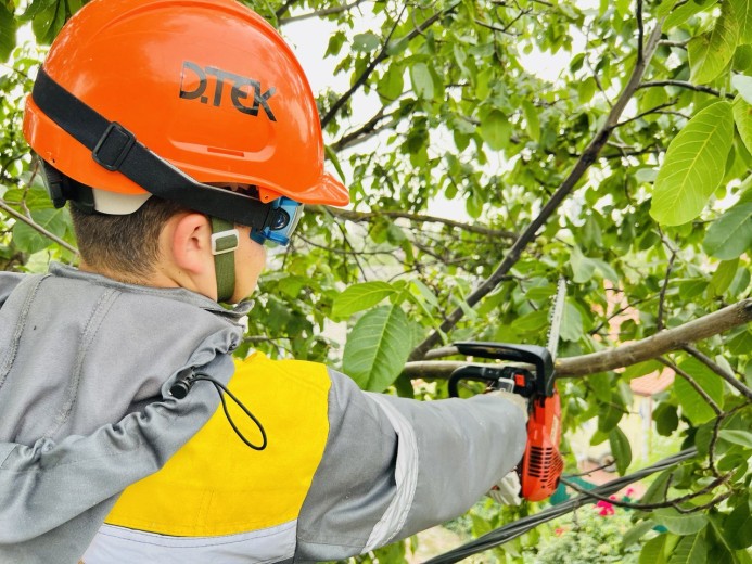 ДТЕК Київські регіональні електромережі: більше розчищених ліній — менше аварій