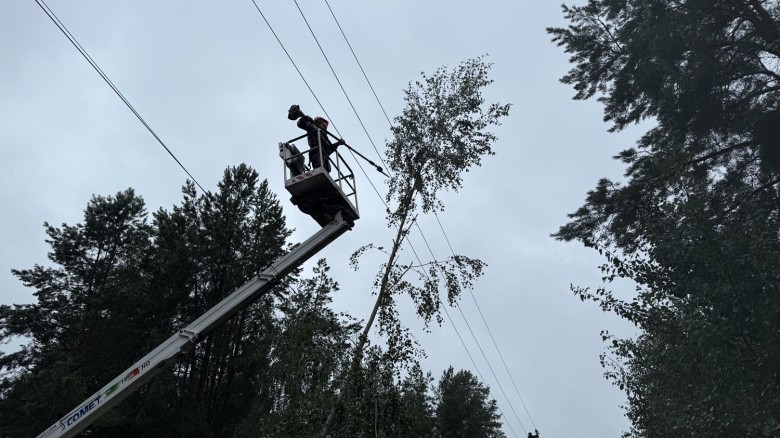 За тиждень ОСР ДТЕК Мережі повернули світло до понад пів мільйона осель у чотирьох областях