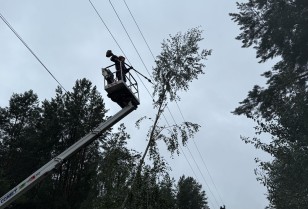 За тиждень ОСР ДТЕК Мережі повернули світло до понад пів мільйона осель у чотирьох областях