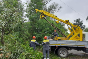 Енергетики ДТЕК Київські регіональні електромережі повернули світло для понад 79 тисяч родин після негоди