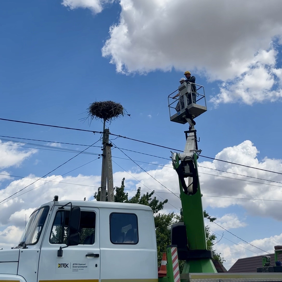 Міжнародна співпраця: енергетики ДТЕК Одеські електромережі допомогли орнітологам окільцювати 50 пташенят білого лелеки. 3 Міжнародна співпраця: енергетики ДТЕК Одеські електромережі допомогли орнітологам окільцювати 50 пташенят білого лелеки. 2