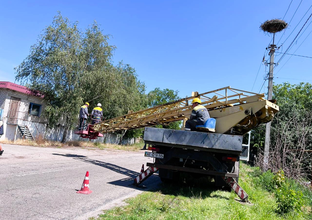 Міжнародна співпраця: на Дніпропетровщині енергетики ДТЕК допомогли орнітологам окільцювати 56 пташенят білого лелеки. 4 Міжнародна співпраця: на Дніпропетровщині енергетики ДТЕК допомогли орнітологам окільцювати 56 пташенят білого лелеки. 3