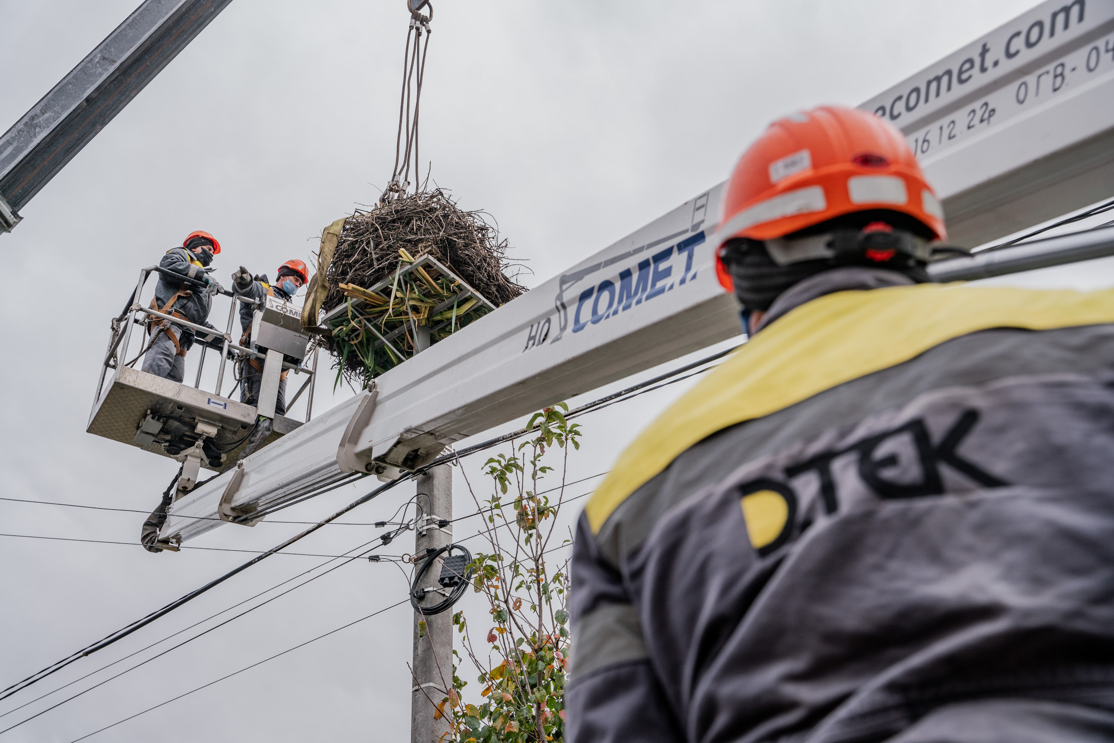 Energy workers of the DTEK Kyiv Regional Grids installed 20 safe nests for storks in 2024.  1